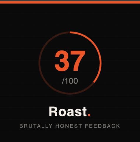 RoastMyWebsite Brutally Honest Feedback