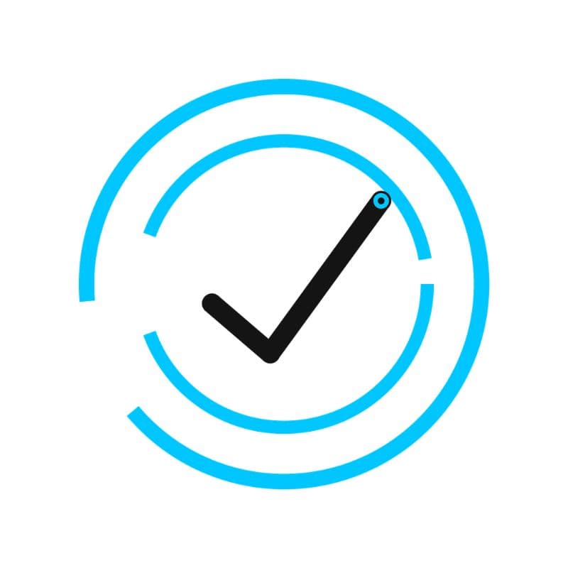 SEO Website Auditor