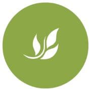 Mindful Family