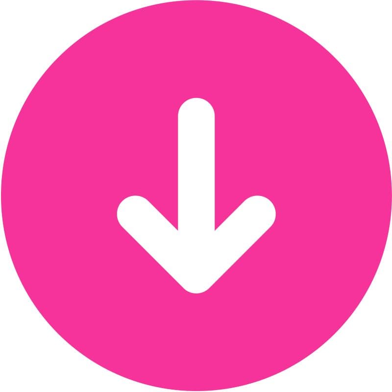Online Video Downloader