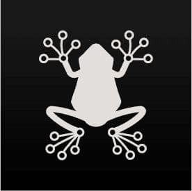 Rainfrog