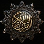 كلمات
