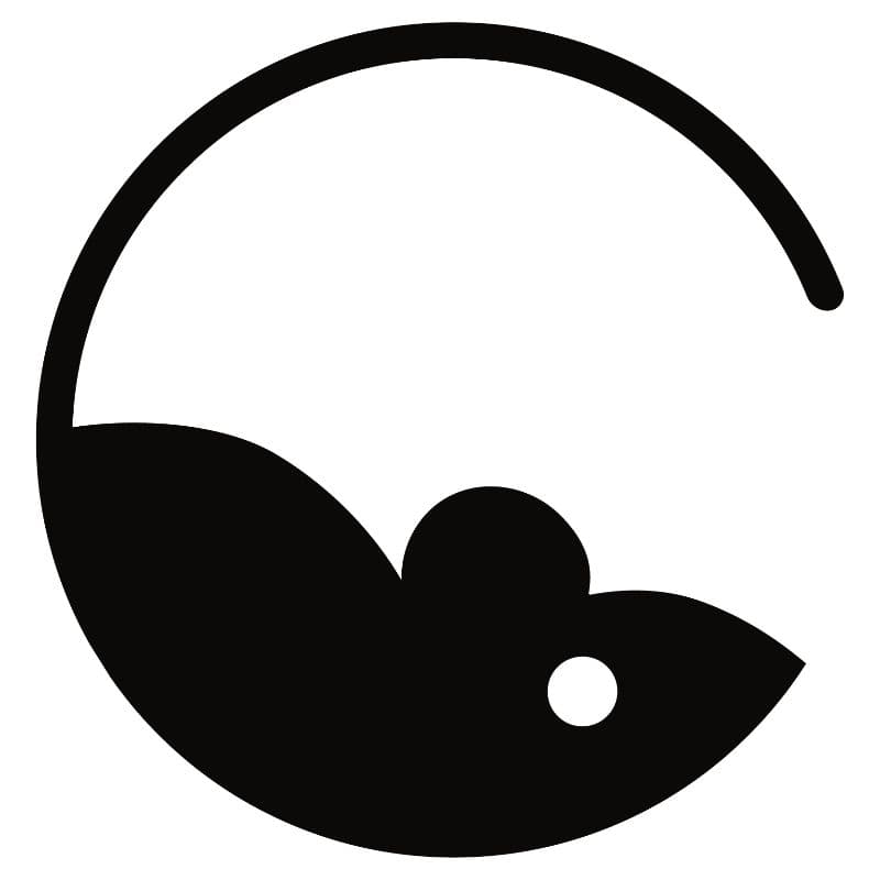 RChat.dev