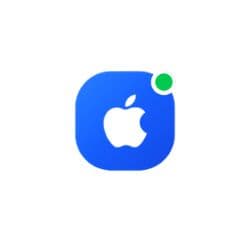 Wappi Tech