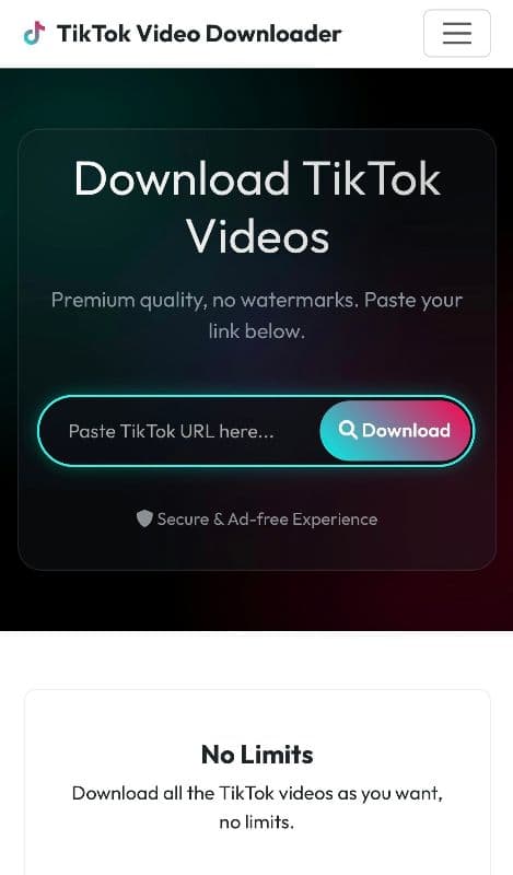 TikTok Video Downloader