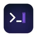 Terminal Manager for Developers