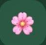 FlowPhase — Perimenopause Companion