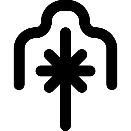 Seshat