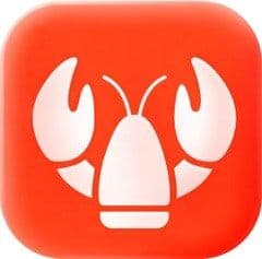 LobsterAI