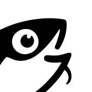 codeset — Onboard your coding agent
