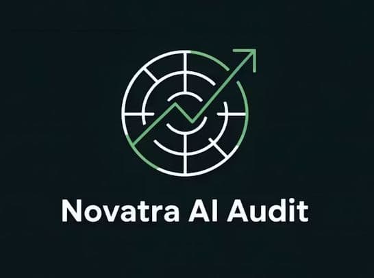 Novatra AI Business Audit
