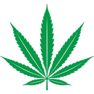 Cannabis Dispensary SEO