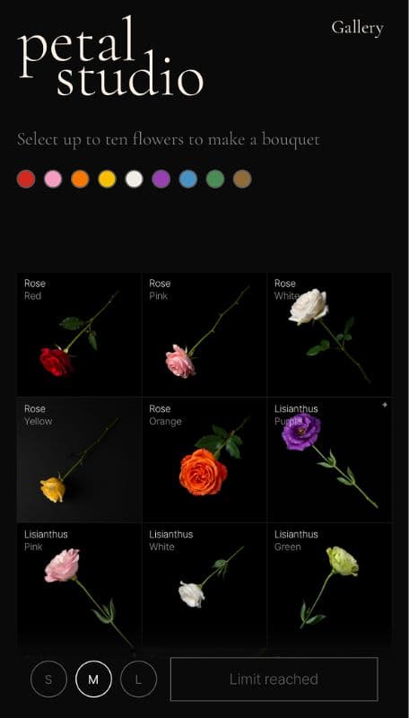 Petal Studio