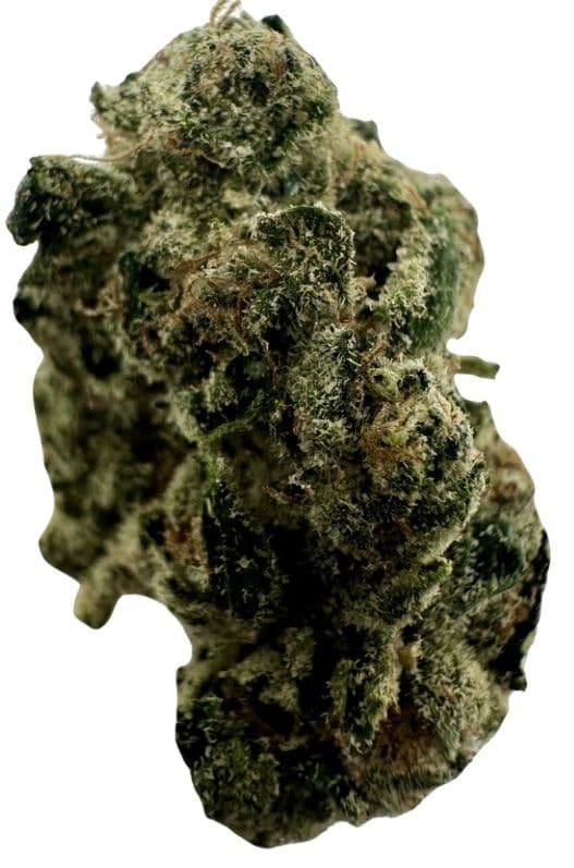 Slurriboof (Hybrid) - 5 Minute Weed DC
