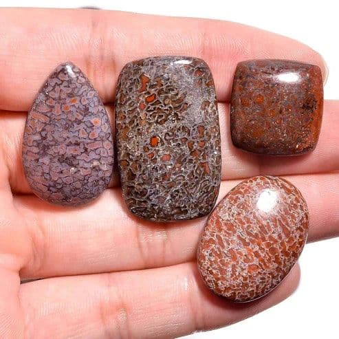 Natural Dinosaur Bone Jasper Cabochons