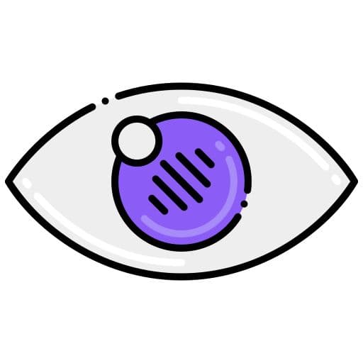 Privacy Shield