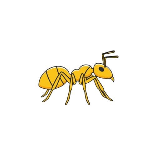 Ant'z Studio — Sovereign Agentic OS