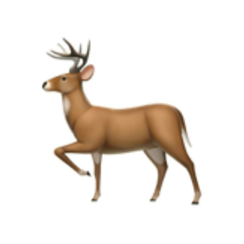 DeerFlow