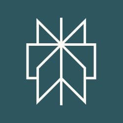 Perplexity AI