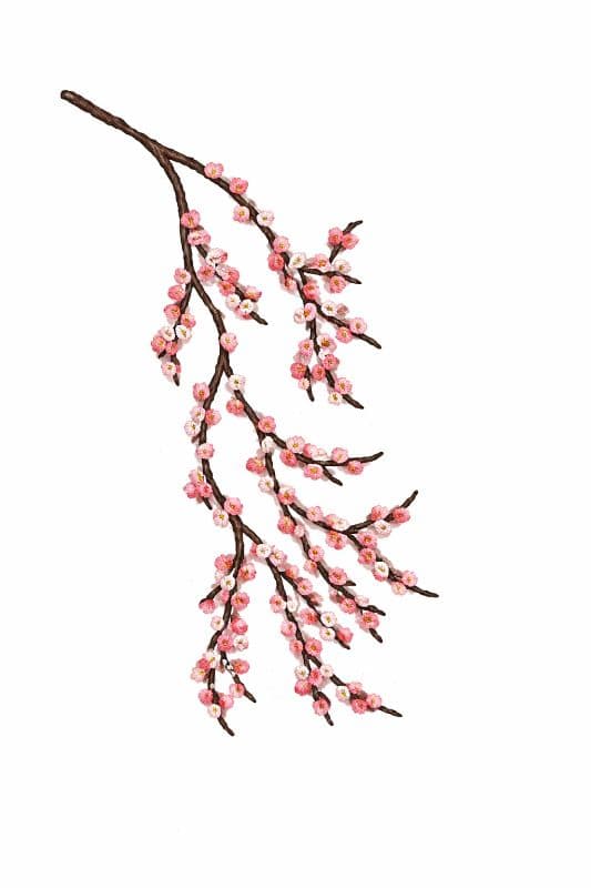 Cherry Blossom Embroidery Pattern (Free)