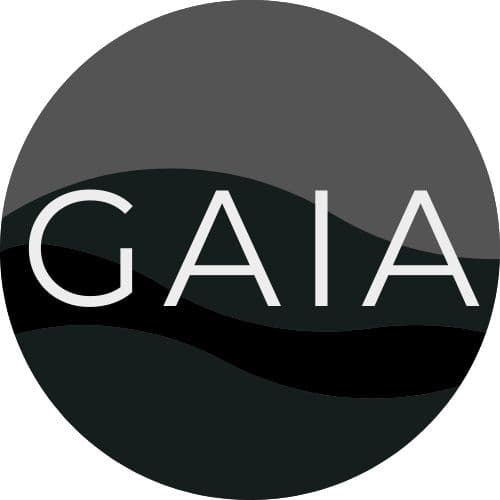 AI Automation Architect