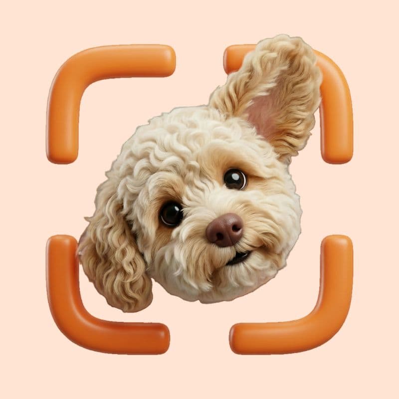 FurClick