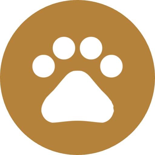 Ghibli AI Image