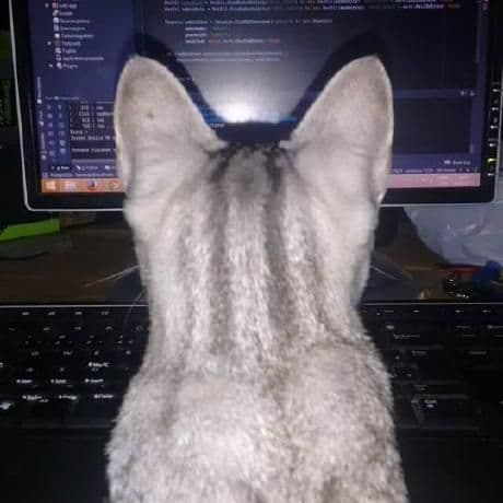 whats-reader