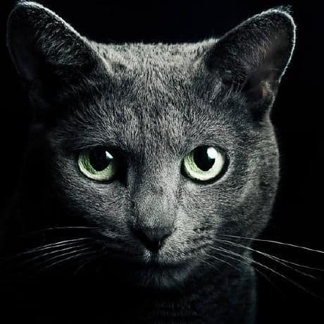 FinnewsHunter